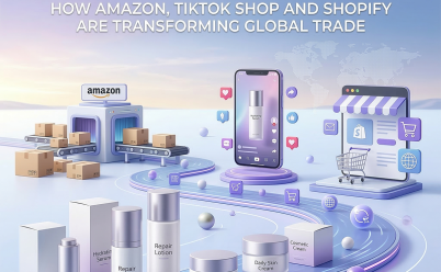 THE FUTURE OF CROSS-BORDER E-COMMERCE SUPPLY CHAINS